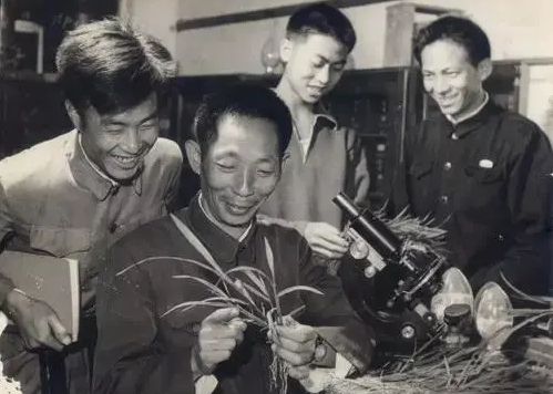 &#21326;&#20307;&#24179;&#21488;&#45;&#21326;&#20307;&#40;&#20013;&#22269;&#41;