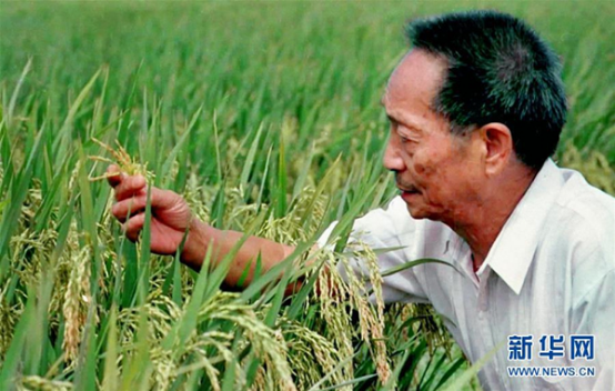 &#21326;&#20307;&#24179;&#21488;&#45;&#21326;&#20307;&#40;&#20013;&#22269;&#41;